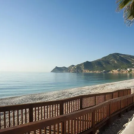 Albir Lemon House *